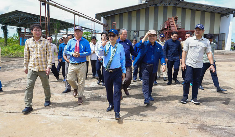 Private sector urged to boost contract farming investments